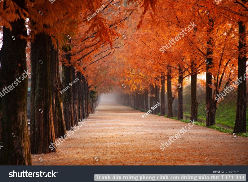 Tranh dán tường phong cảnh con đường mùa thu T321-344